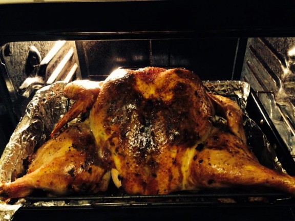 2013 Thanksgiving Turkey - 19 lbs